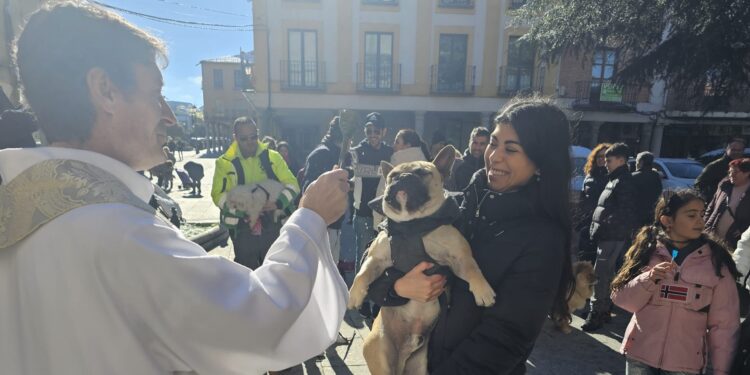 Perros, un gato y una tortuga se convierten en protagonistas de la bendición anual de San Antón celebrada en Peñaranda