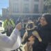 Perros, un gato y una tortuga se convierten en protagonistas de la bendición anual de San Antón celebrada en Peñaranda