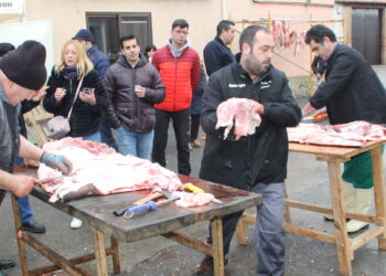 Triplete de matanzas tradicionales en la comarca el sábado 24 de febrero: Macotera, Bóveda del Río Almar y Villar de Gallimazo