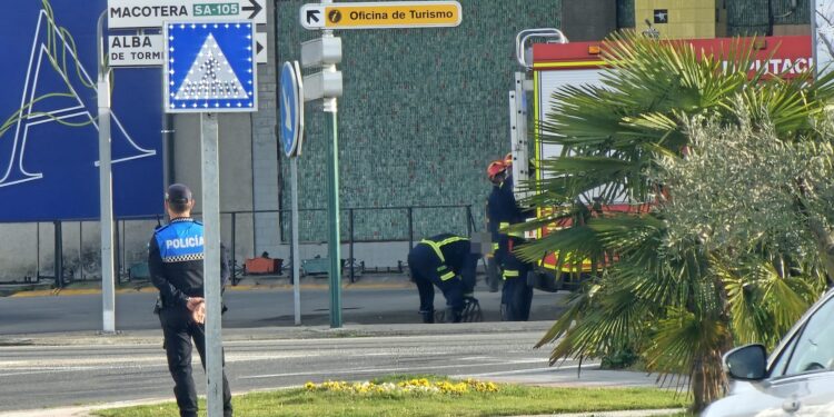 Bomberos y Policía Local intervienen en Peñaranda tras un vertido de purines en el cruce de la carretera de Alba de Tormes