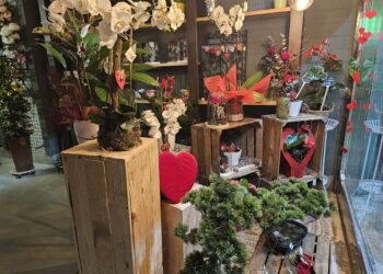 Floristería Martina: todo preparado para el día de San Valentín en el que no pueden faltar las flores para regalar a tu pareja