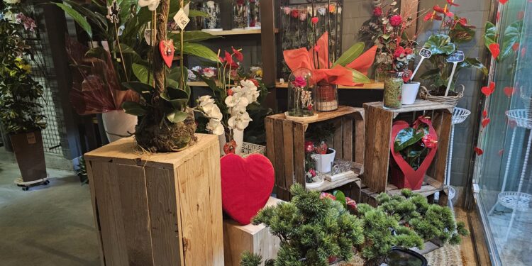 Floristería Martina: todo preparado para el día de San Valentín en el que no pueden faltar las flores para regalar a tu pareja