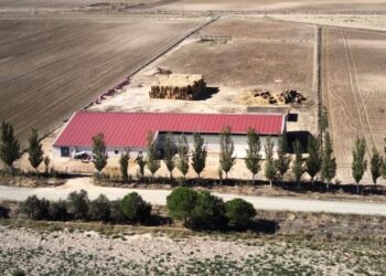 Peñaranda, Cantalapiedra y Babilafuente, los tres municipios de la comarca que buscan relevos empresariales en «Negocio rural»