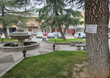 Peñaranda planta batalla contra las heces caninas en el entorno ajardinado de la iglesia parroquial de San Miguel Arcángel