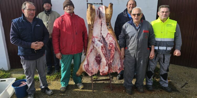 Rágama vive con un gran ambiente la III Jornada de la Matanza en la que no faltan las degustaciones de los productos del cerdo