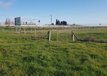 Rágama destina 10.000 euros a mejoras en las infraestructuras ganaderas y renueva los cercados de los prados comunales