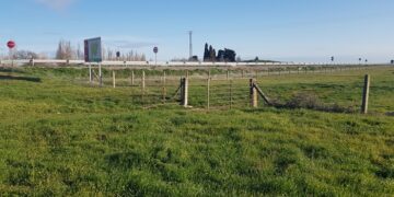 Rágama destina 10.000 euros a mejoras en las infraestructuras ganaderas y renueva los cercados de los prados comunales