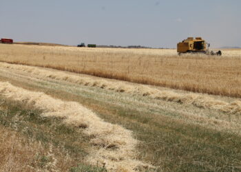 Peñaranda, la segunda comarca salmantina que más solicita el análisis de suelo para mejorar el rendimiento de las cosechas