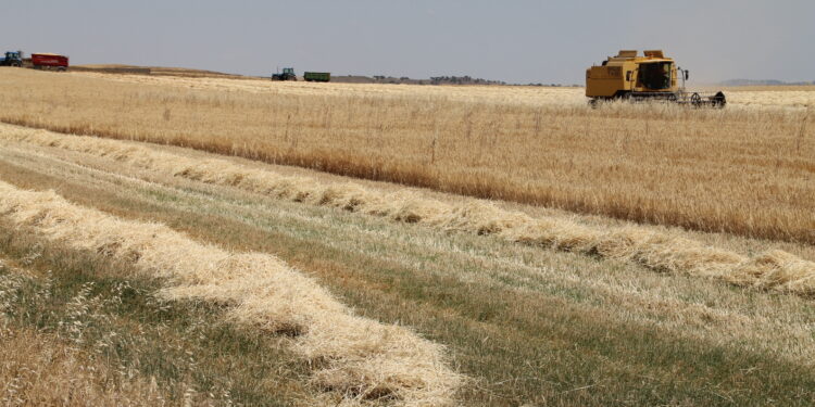 Peñaranda, la segunda comarca salmantina que más solicita el análisis de suelo para mejorar el rendimiento de las cosechas