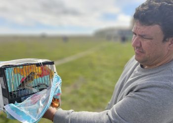 130 pájaros participan en el I Concurso Silvestrista Abierto «Ciudad de Peñaranda» celebrado en la finca El Pradohorno