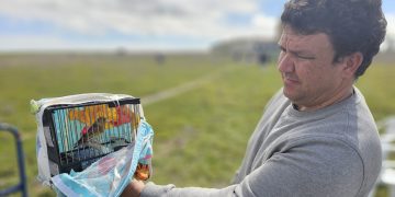 130 pájaros participan en el I Concurso Silvestrista Abierto «Ciudad de Peñaranda» celebrado en la finca El Pradohorno