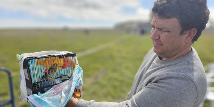 130 pájaros participan en el I Concurso Silvestrista Abierto «Ciudad de Peñaranda» celebrado en la finca El Pradohorno