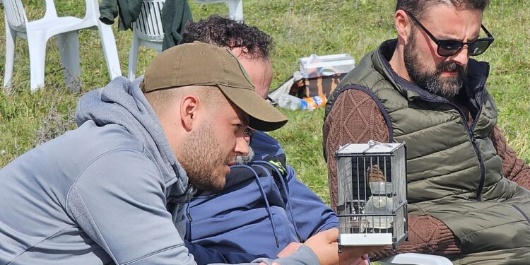 130 pájaros participan en el I Concurso Silvestrista Abierto «Ciudad de Peñaranda» celebrado en la finca El Pradohorno
