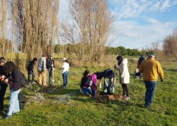 Rágama celebra una nueva jornada de reforestación con vecinos del pueblo y voluntariado de la Universidad de Salamanca