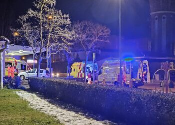 Carmen Ávila defiende en el pleno de la Diputación la petición de una UVI móvil para Peñaranda: «La vida de una persona vale más que cualquier inversión de la Junta»