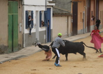 El segundo astado del festejo del Toro del Voto en Villoria deja un herido que está siendo atendido en la enfermería de la plaza