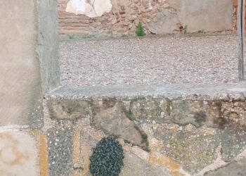 Vuelven las abejas a Villoruela: aparece un panal en el muro perimetral de la iglesia y el Ayuntamiento pide precaución