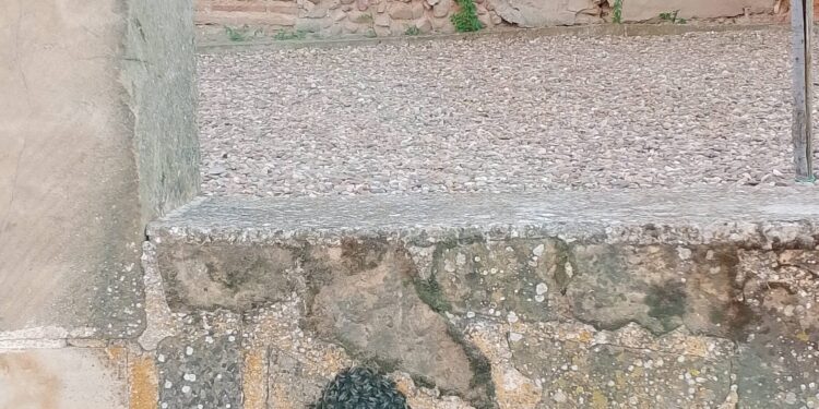 Vuelven las abejas a Villoruela: aparece un panal en el muro perimetral de la iglesia y el Ayuntamiento pide precaución