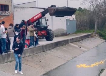 La asociación Gente de Alaraz retoma con éxito el concurso de patos de aguas en el arroyo que surca el casco urbano de la villa