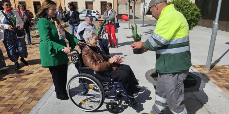 Tulipanes rojos en Peñaranda en apoyo a los enfermos de Parkinson y en reconocimiento a sus familias y cuidadores