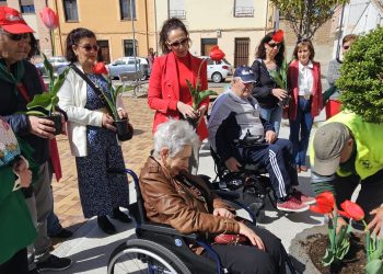 Tulipanes rojos en Peñaranda en apoyo a los enfermos de Parkinson y en reconocimiento a sus familias y cuidadores