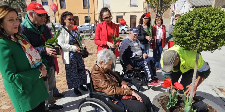 Tulipanes rojos en Peñaranda en apoyo a los enfermos de Parkinson y en reconocimiento a sus familias y cuidadores