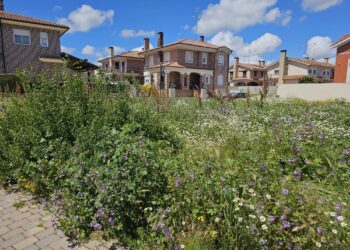 Semana de ultimátum en Peñaranda para la limpieza de solares y parcelas con casos sin resolver a un día de expirar el plazo