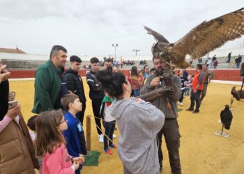 Las fiestas del Voto arrancan en Villoria con una espectacular exhibición de cetrería y con un animado encierro infantil