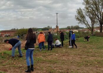 Villoruela pone en marcha su proyecto del «Paseo de la Memoria» con una plantación del mimbre que da fama a la localidad