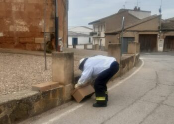 Bomberos de Peñaranda retiran finalmente el enjambre de abejas del muro perimetral de la iglesia parroquial de Villoruela