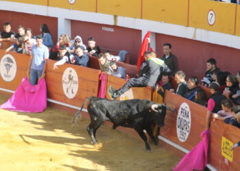 Tarde de capea en Macotera que ha reunido a los aficionados de la zona y en la que no han faltado quiebros ni algún que otro susto