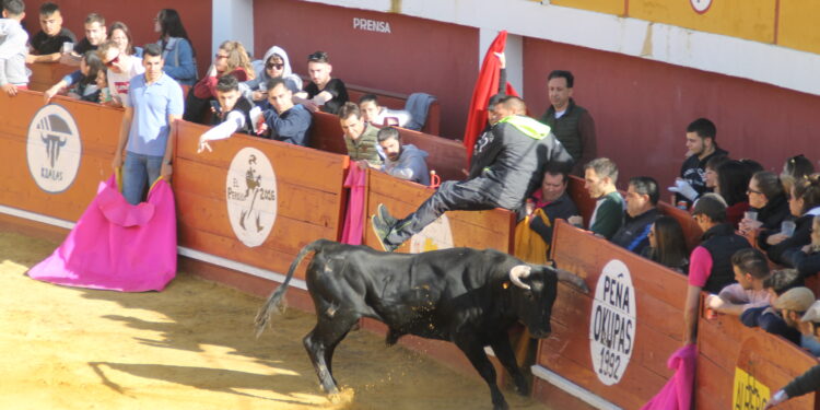 Tarde de capea en Macotera que ha reunido a los aficionados de la zona y en la que no han faltado quiebros ni algún que otro susto