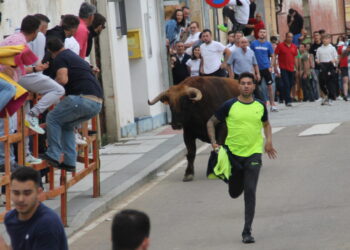 Sortijillo y Velosico protagonizan la VII edición del Toro de San Isidro en Cantalpino y llevan la emoción y el riesgo a sus calles