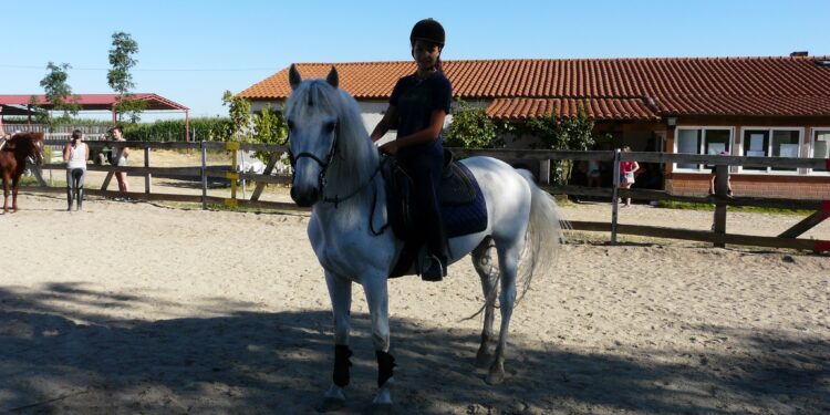 Peñaranda, Cantalapiedra y Huerta buscan relevo a negocios rurales a través de la iniciativa puesta en marcha por Diputación