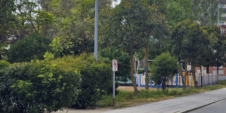 Sólo dos propuestas recibidas en el concurso de ideas para la remodelación del céntrico parque peñarandino de Los Jardines