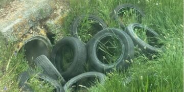 Mancera de Abajo pide colaboración ciudadana para identificar al autor de un vertido de neumáticos en el camino de Bercimuelle