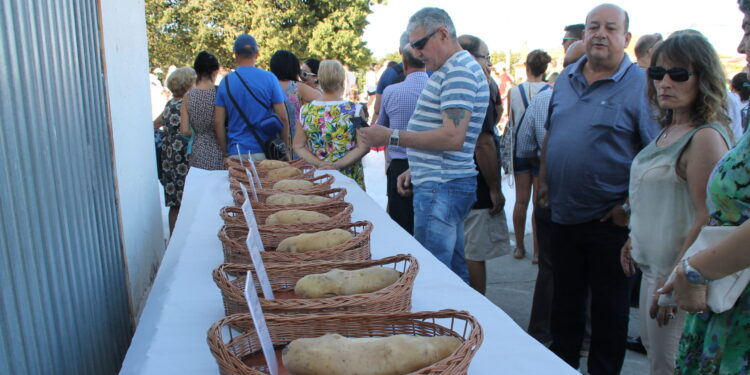 Arabayona de Mógica potenciará sus Fiestas de la Patata con la I edición del Mercado Artesanal que se celebrará el 24 de agosto