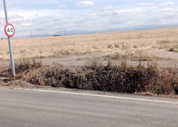 Los Bomberos de Peñaranda sofocan otro pequeño incendio en el acceso al polígono El Inestal desde la carretera de Macotera