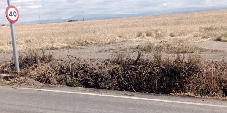 Los Bomberos de Peñaranda sofocan otro pequeño incendio en el acceso al polígono El Inestal desde la carretera de Macotera