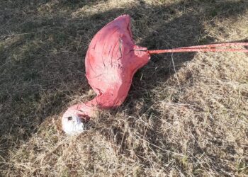 Indignación en Moríñigo que amanece este domingo con varios destrozos en el parque en el fin de fiesta de los vándalos