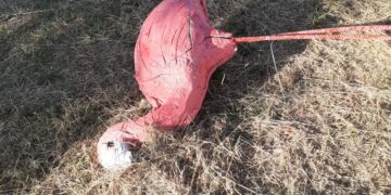 Indignación en Moríñigo que amanece este domingo con varios destrozos en el parque en el fin de fiesta de los vándalos