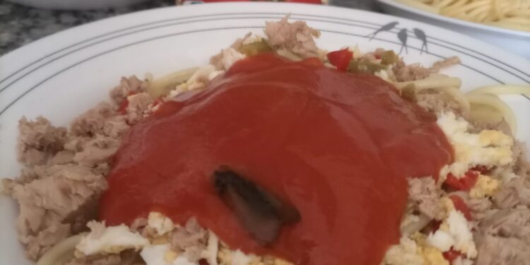 Repelente hallazgo en Peñaranda: una vecina abre un brick de tomate frito y sale una polilla del interior cayendo sobre la comida