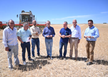 Agricultura, Ganadería y Desarrollo Rural prevé buenos resultados en la cosecha de cereal de invierno de Castilla y León