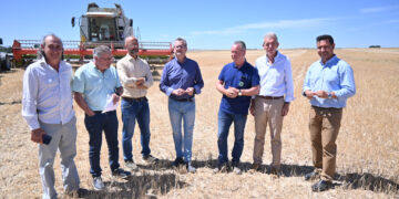 Agricultura, Ganadería y Desarrollo Rural prevé buenos resultados en la cosecha de cereal de invierno de Castilla y León