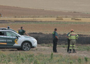 Medios aéreos y terrestres extinguen un incendio en el término de Santiago de la Puebla que ha arrasado cerca de 12 hectáreas