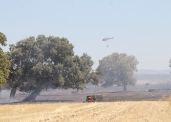 Segundo gran fuego de la temporada en Santiago de la Puebla y con una decena de medios aéreos y terrestres en su extinción