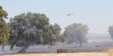 Segundo gran fuego de la temporada en Santiago de la Puebla y con una decena de medios aéreos y terrestres en su extinción
