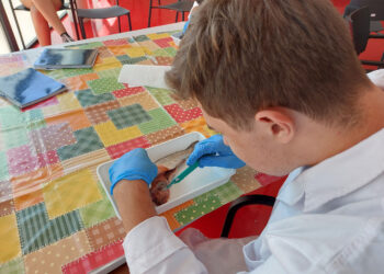 Talleres de iniciación a la investigación para jóvenes: nueva propuesta para el mes de agosto en el albergue de Peñaranda