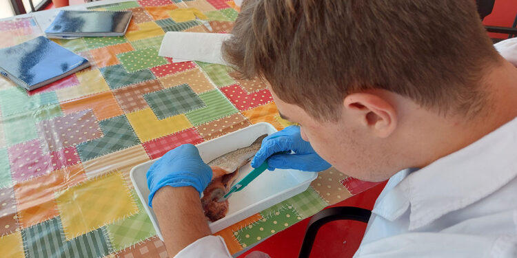 Talleres de iniciación a la investigación para jóvenes: nueva propuesta para el mes de agosto en el albergue de Peñaranda