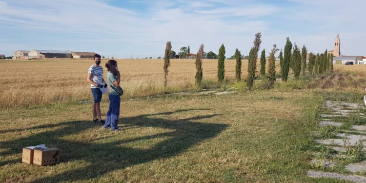 La Diputación provincial y la Universidad de Salamanca desarrollarán el XIII Programa de Voluntariado Juvenil en Rágama